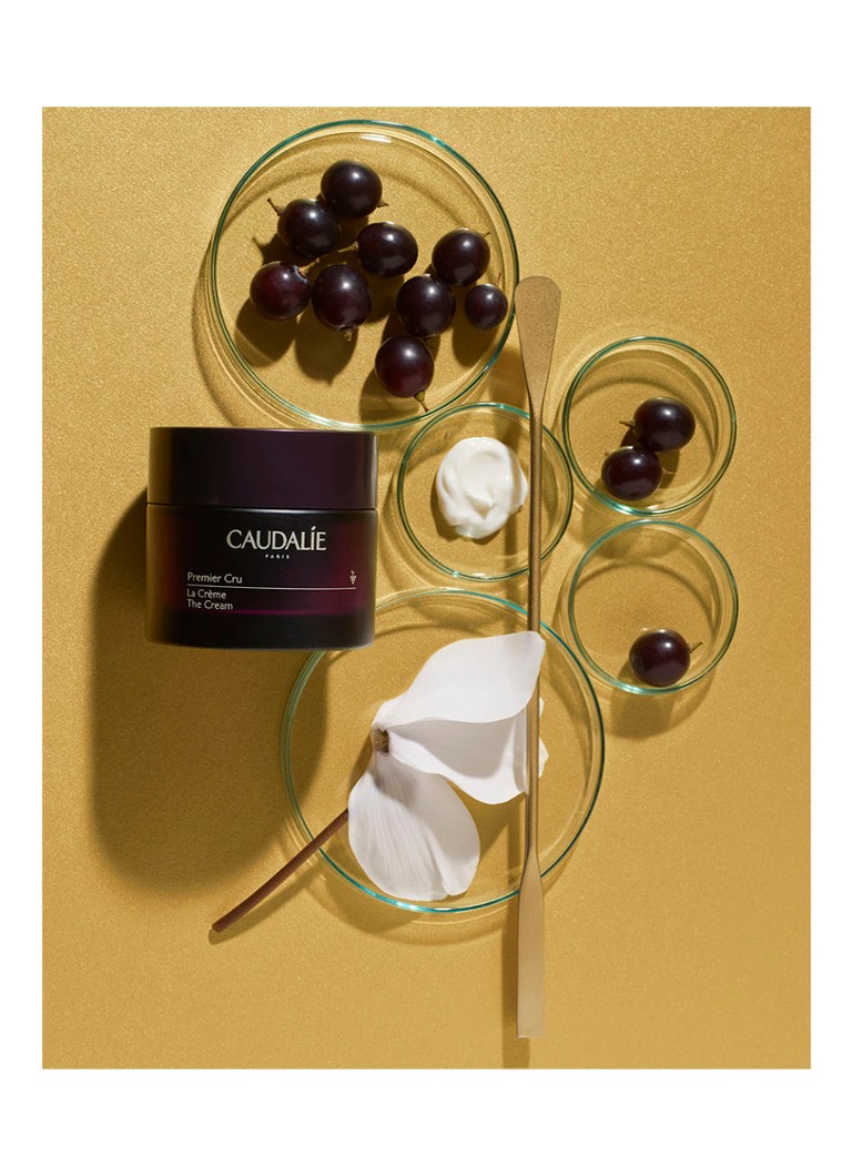 Caudalie Premier Cru De Crème - sejas krēms