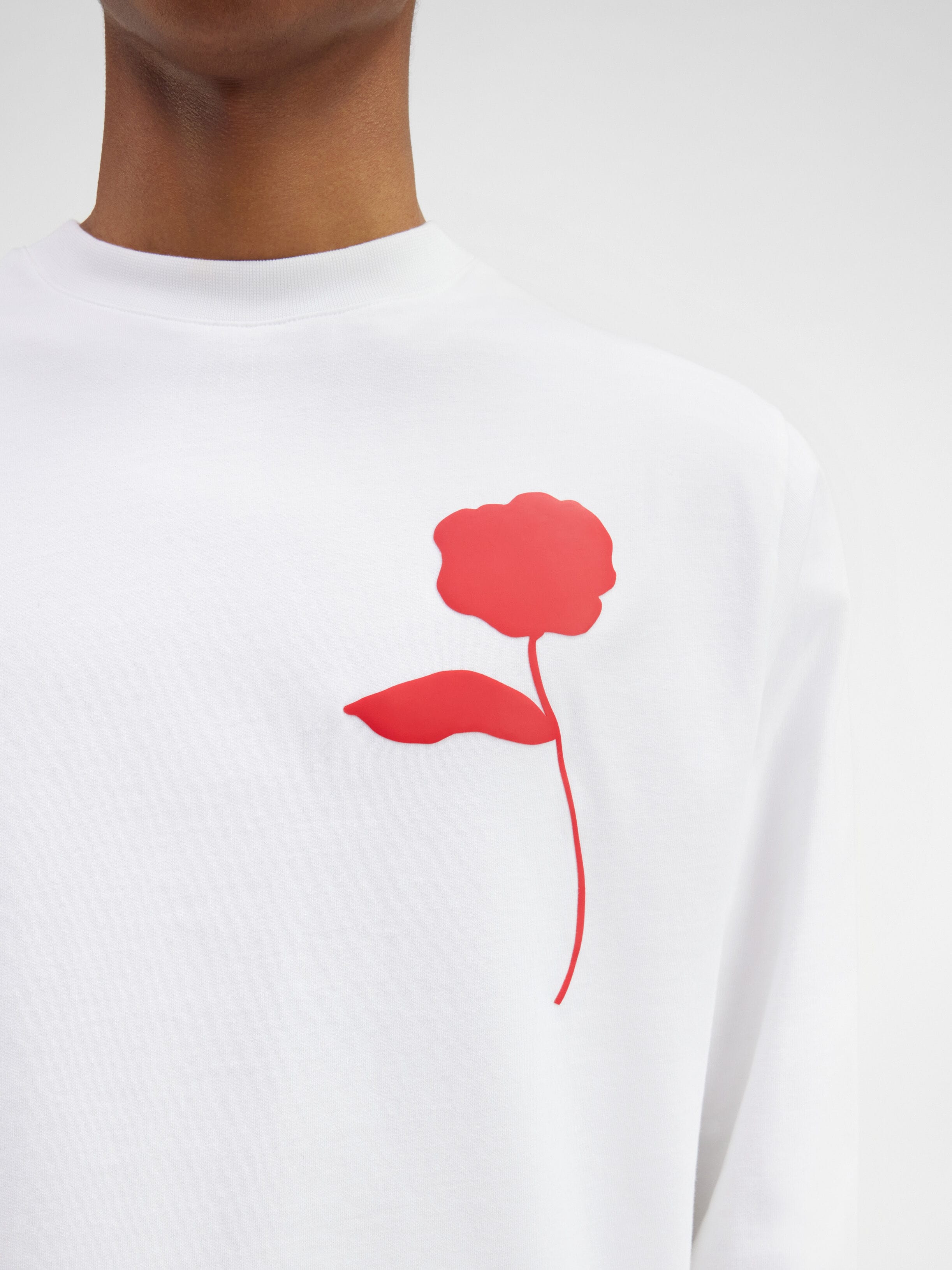 Le t-shirt Ciceri