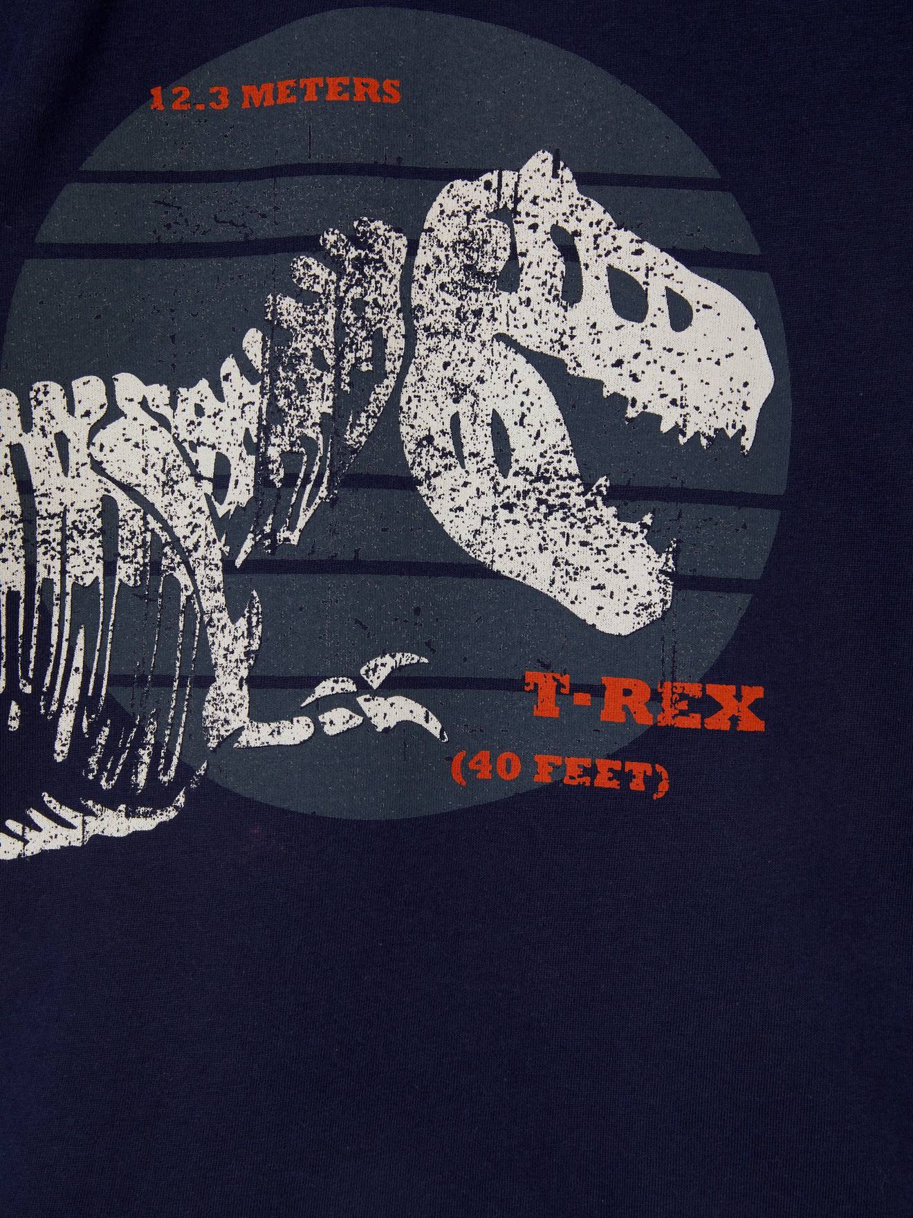T-shirt motif dinosaure géant garçon menthe