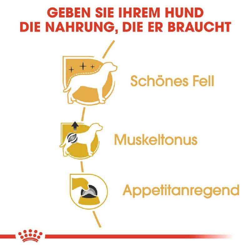 Royal Canin Poodle Adult zu TOP-Preisen