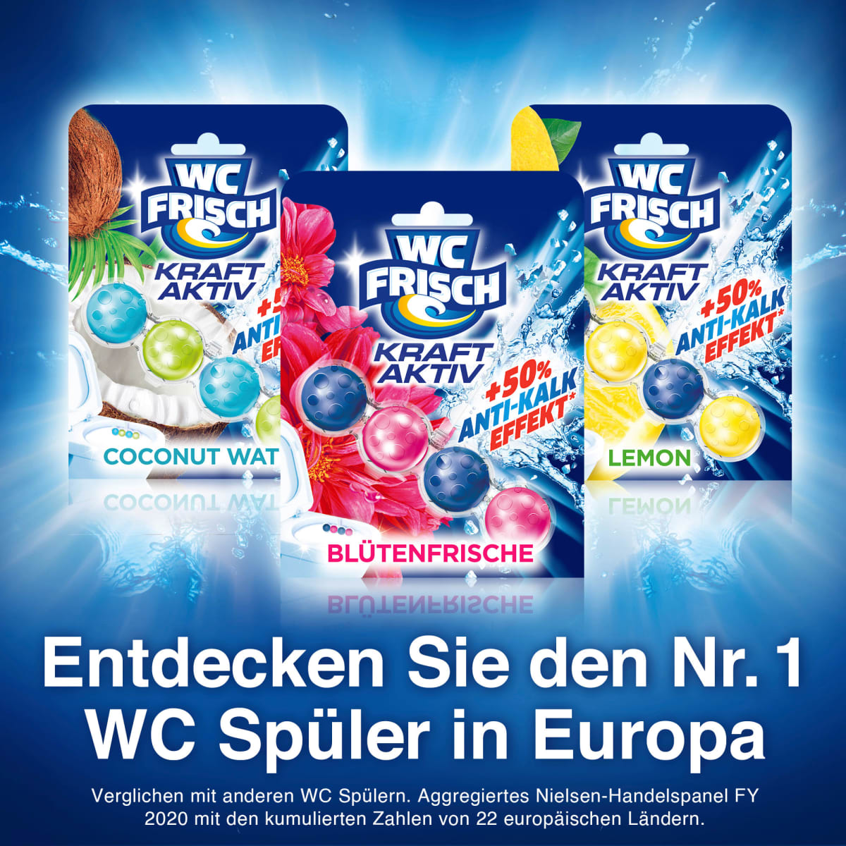 WC-Stein Kraft Aktiv Blütenfrische, 2 St