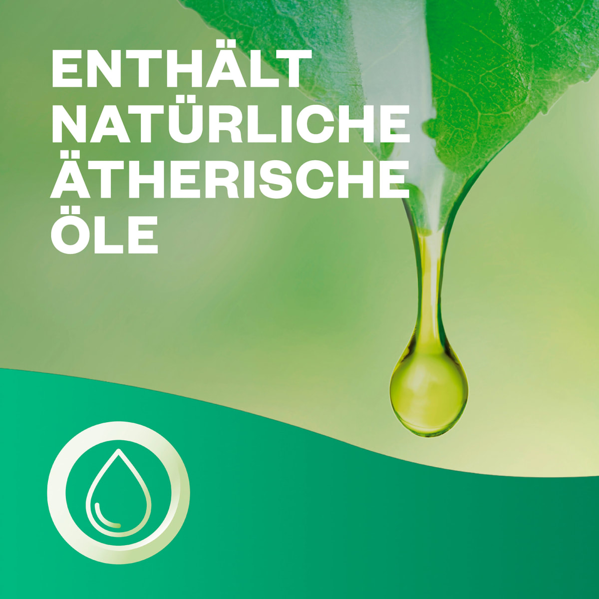 Lufterfrischer Active Fresh Jasminblüte Nachfüllpack, 228 ml