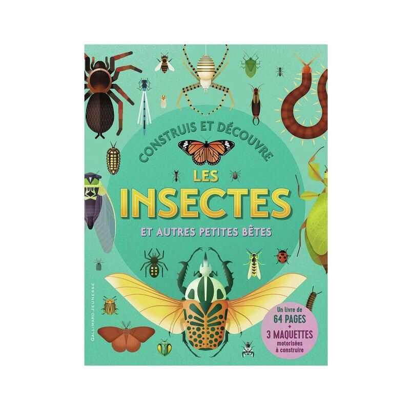 Livre Construis et découvre les insectes et autres petites bêtes - Gallimard Jeunesse