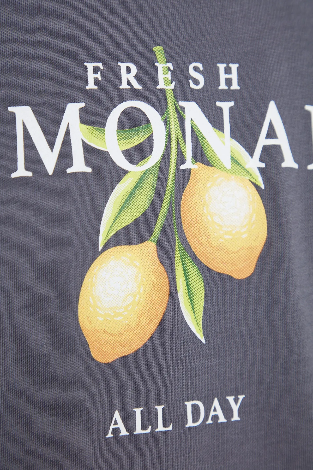 Trendyol Collection  Anthrazitfarbenes, kurzärmliges, bedrucktes Oversize-T-Shirt mit Rundhalsausschnitt TMNSS23TS00089