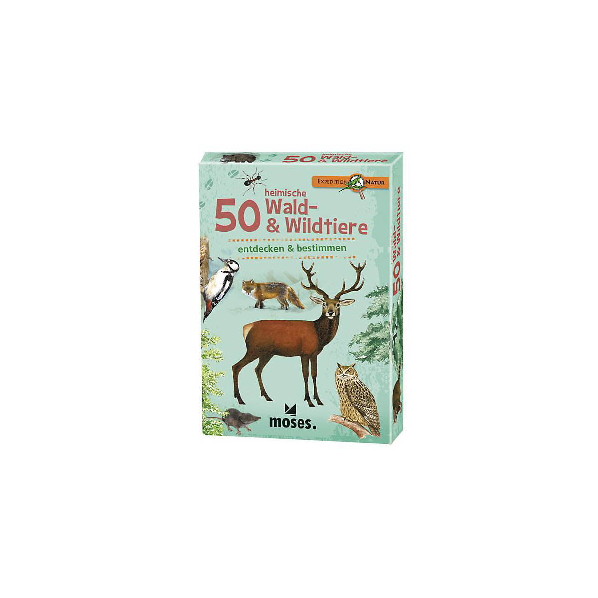 Expedition Natur: 50 heimische Wald- & Wildtiere entdecken & bestimmen