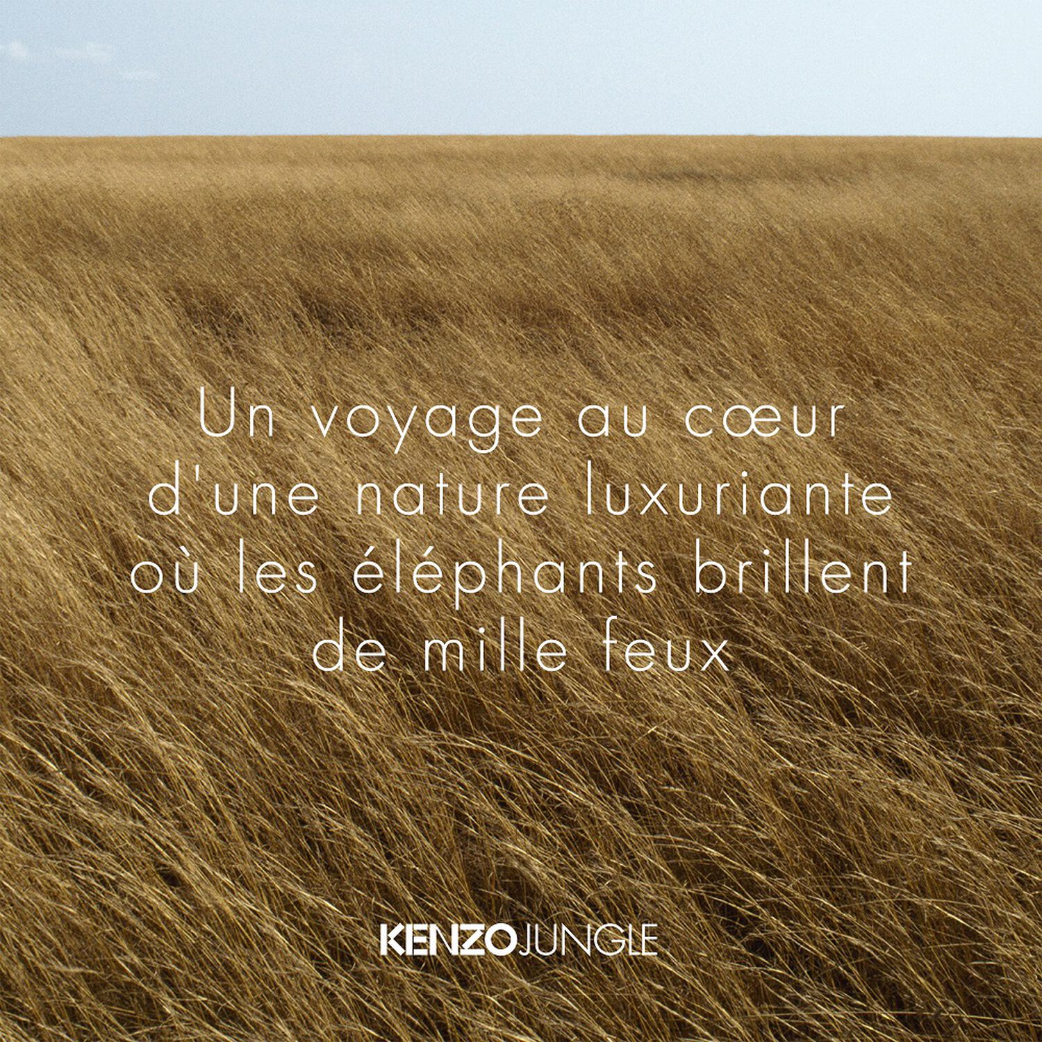 Kenzo KENZO JUNGLE Eau de Parfum