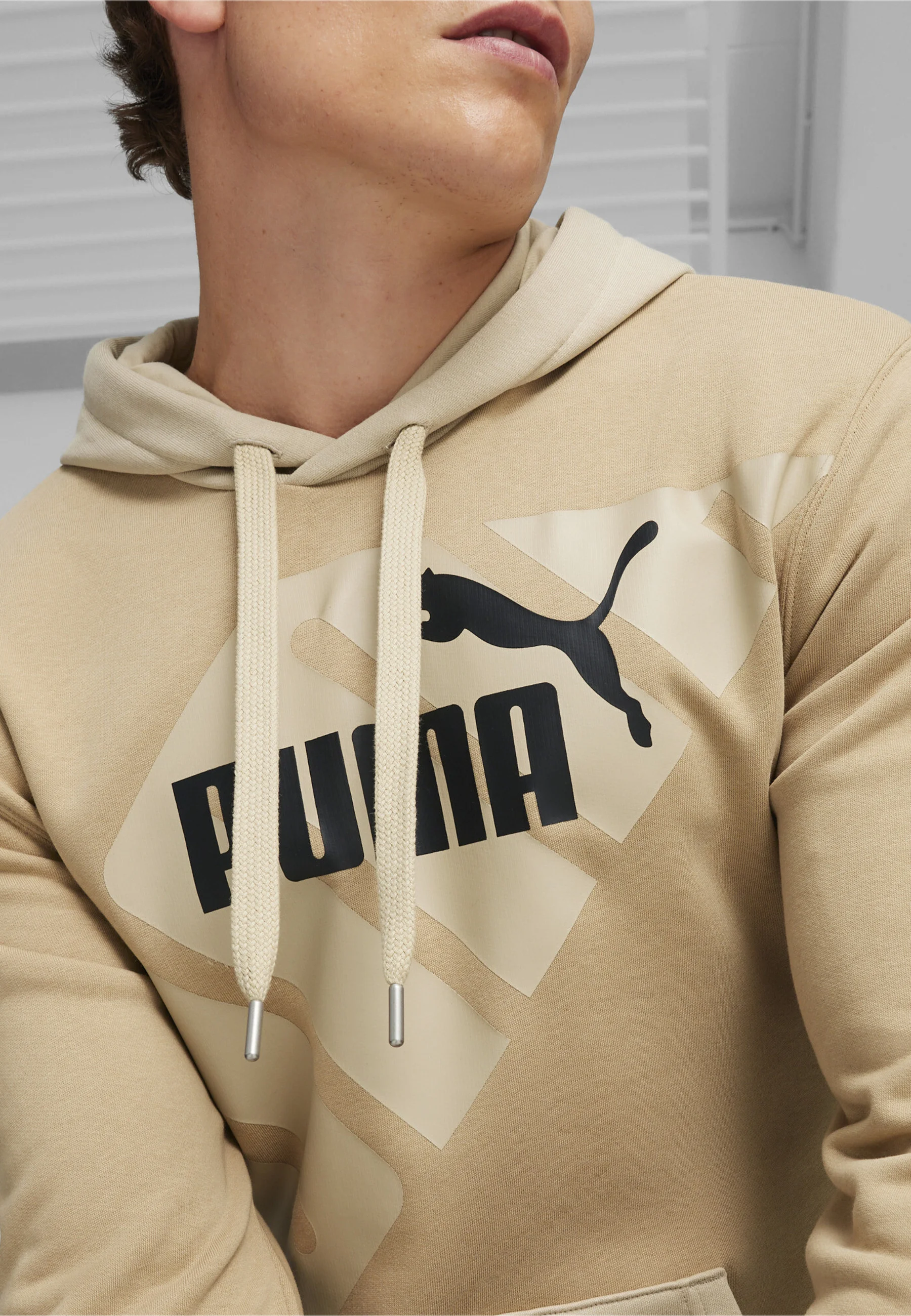 Sudadera con capucha Puma POWER GRAPHIC