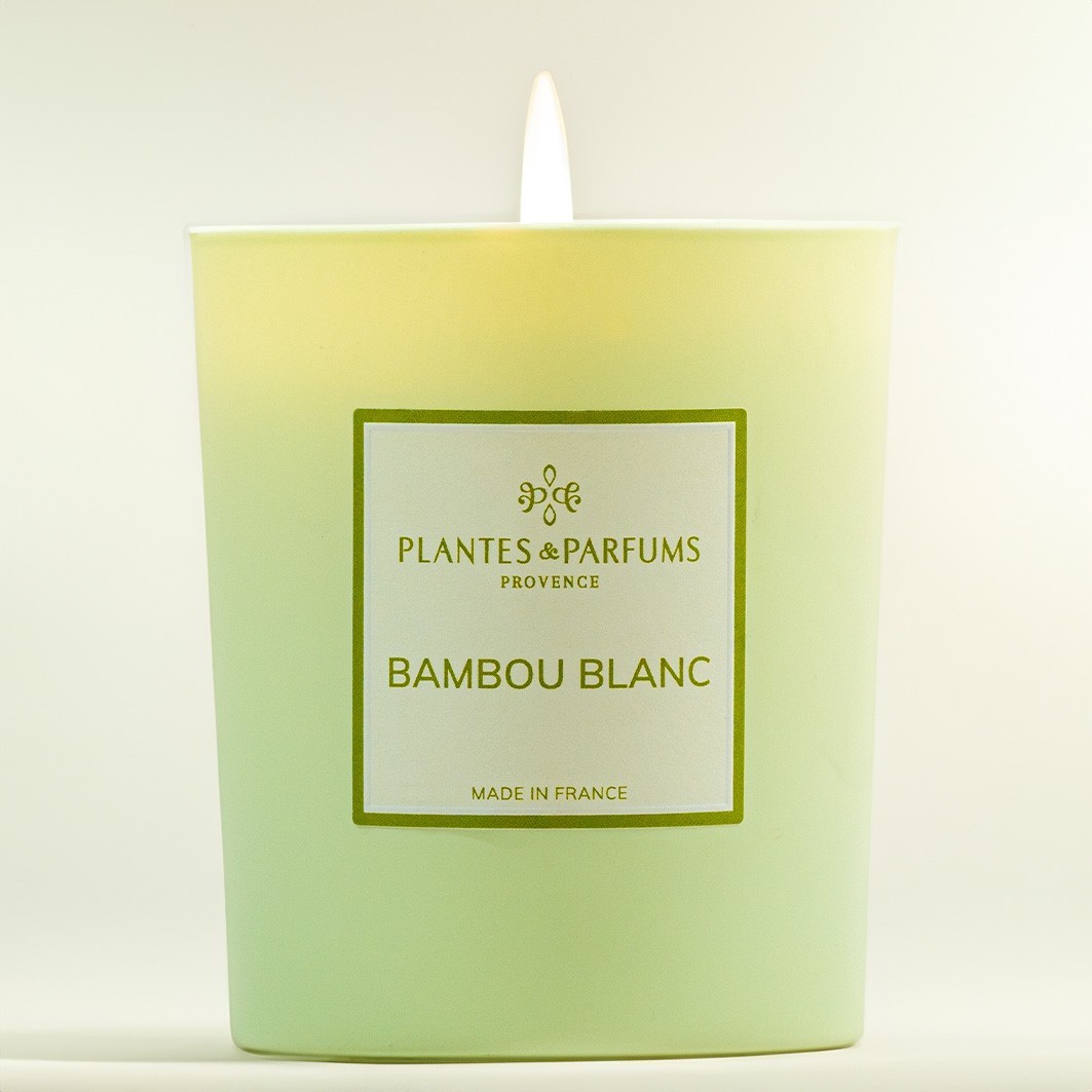 Piante e profumi Bambù bianco