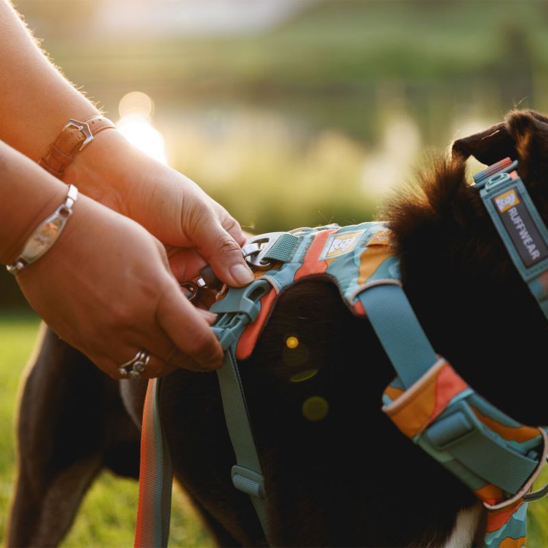Ruffwear Front Range Hundegeschirr, Spring Mountains | bitiba.de