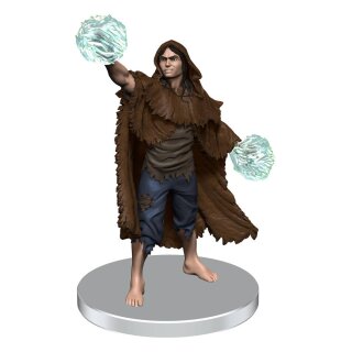 D&D Icons of the Realms: Saltmarsh Miniaturen vorbemalt Box 1 (7)