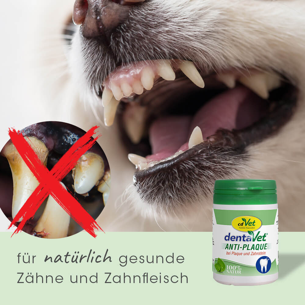 dentaVet Zahnpflege dentaVet Anti-Plaque