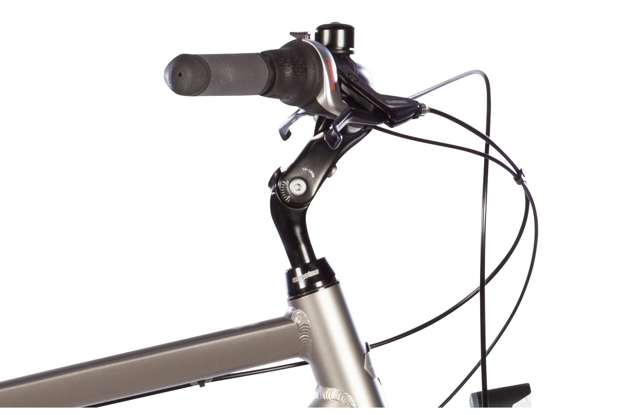 Carver Cityzen 110 - 2024 - 28 Zoll - Diamant