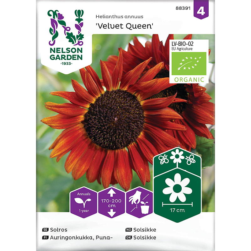 Nelson garden Frø Solsikke Velvet Queen, organic