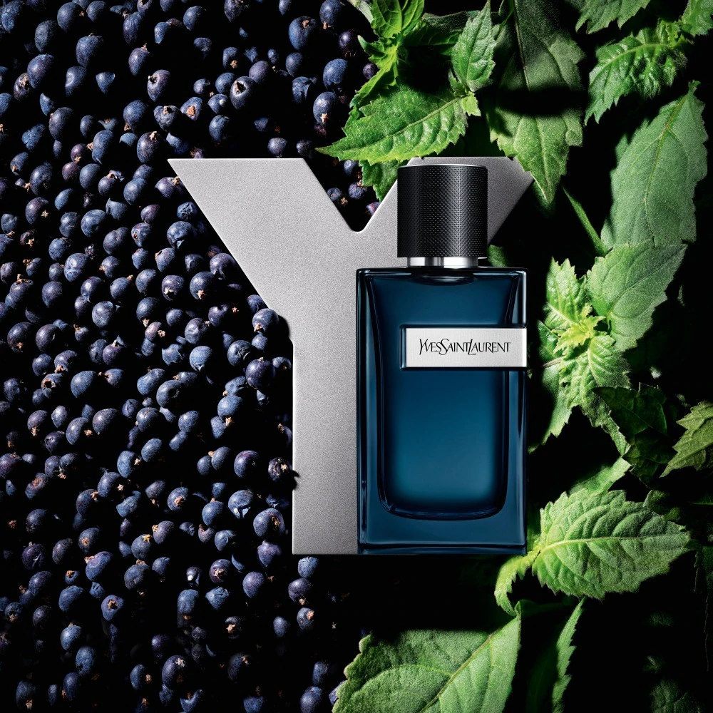 Yves Saint Laurent Intense