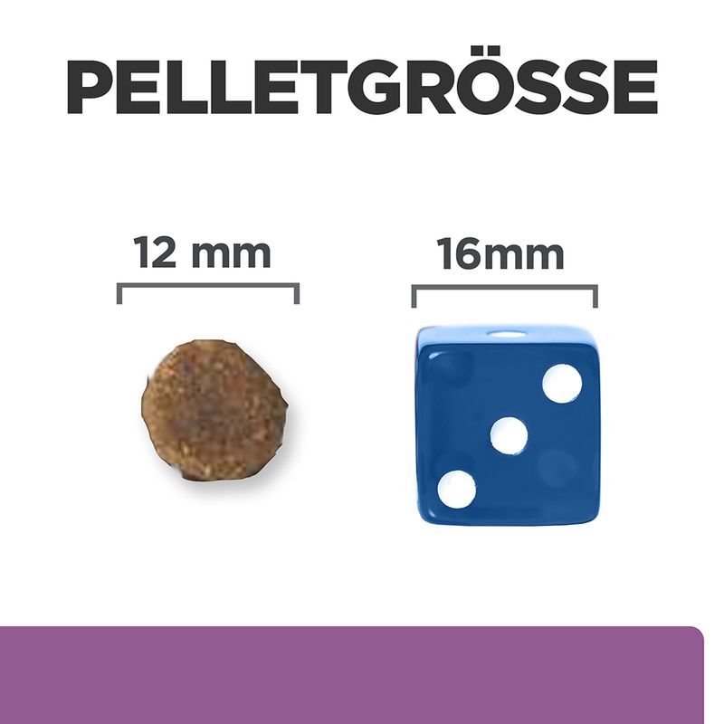 Hill's Prescription Diet b/d Ageing Care Hundefutter mit Huhn