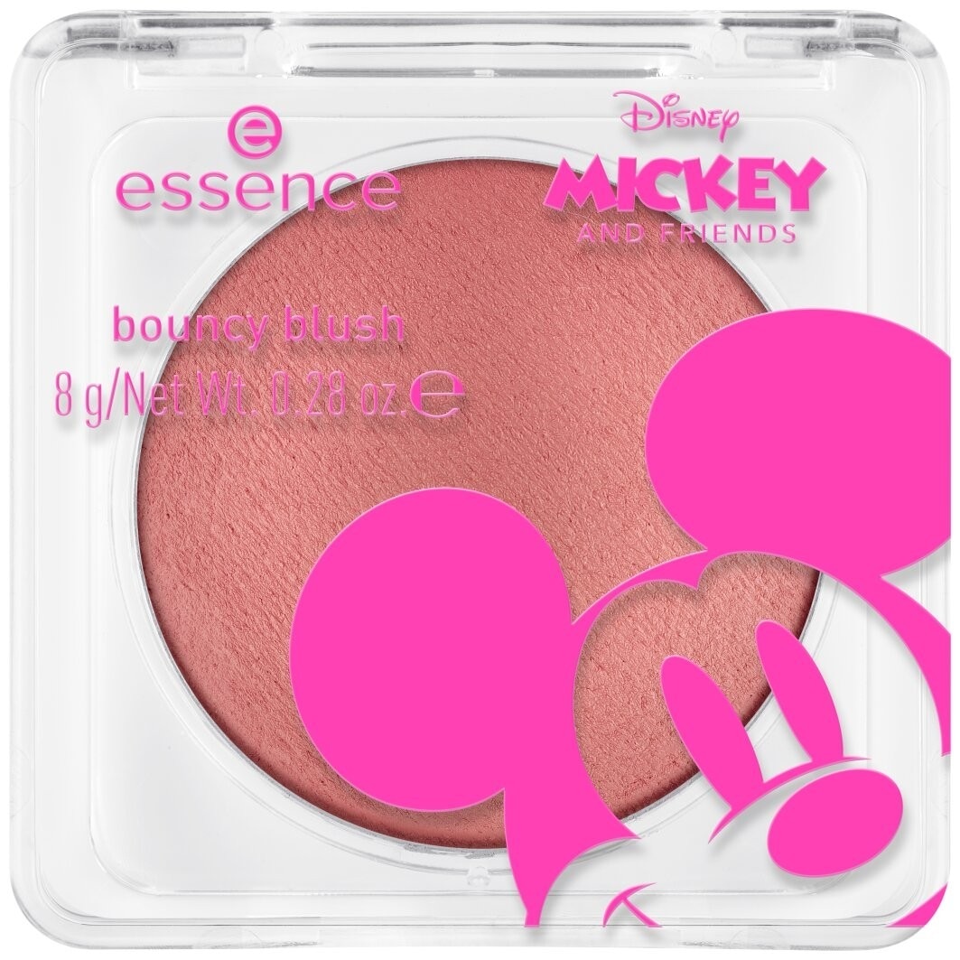 DS Mickey and Friends bouncy blush