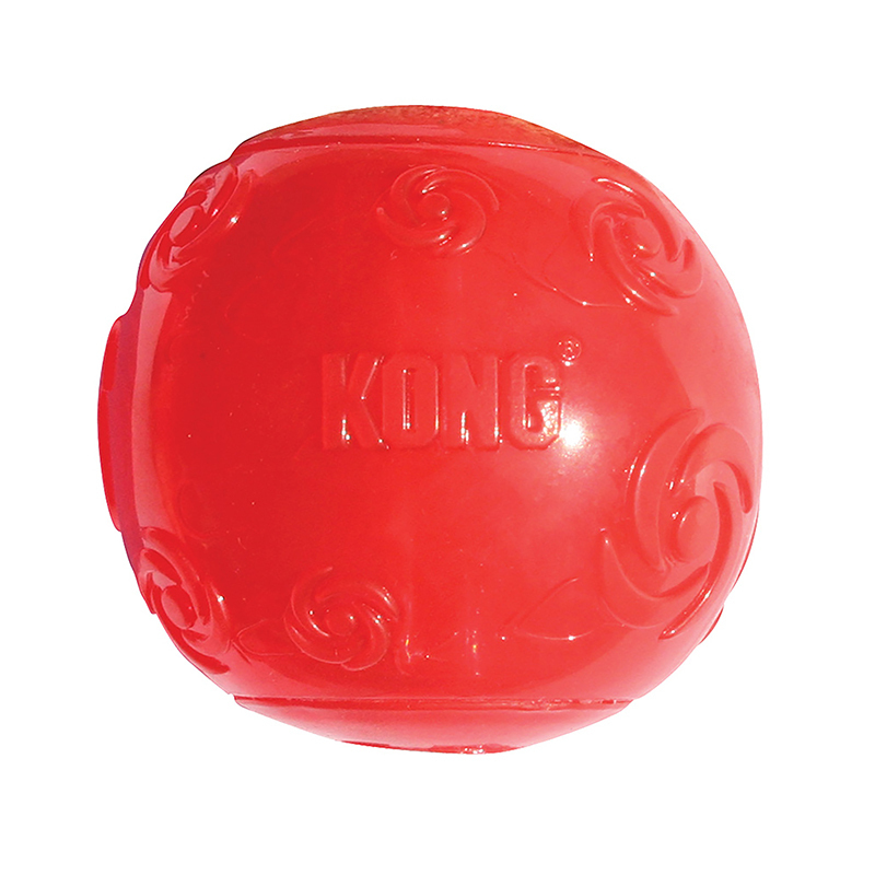 KONG Hundebälle KONG Spielzeug Squeezz Ball M