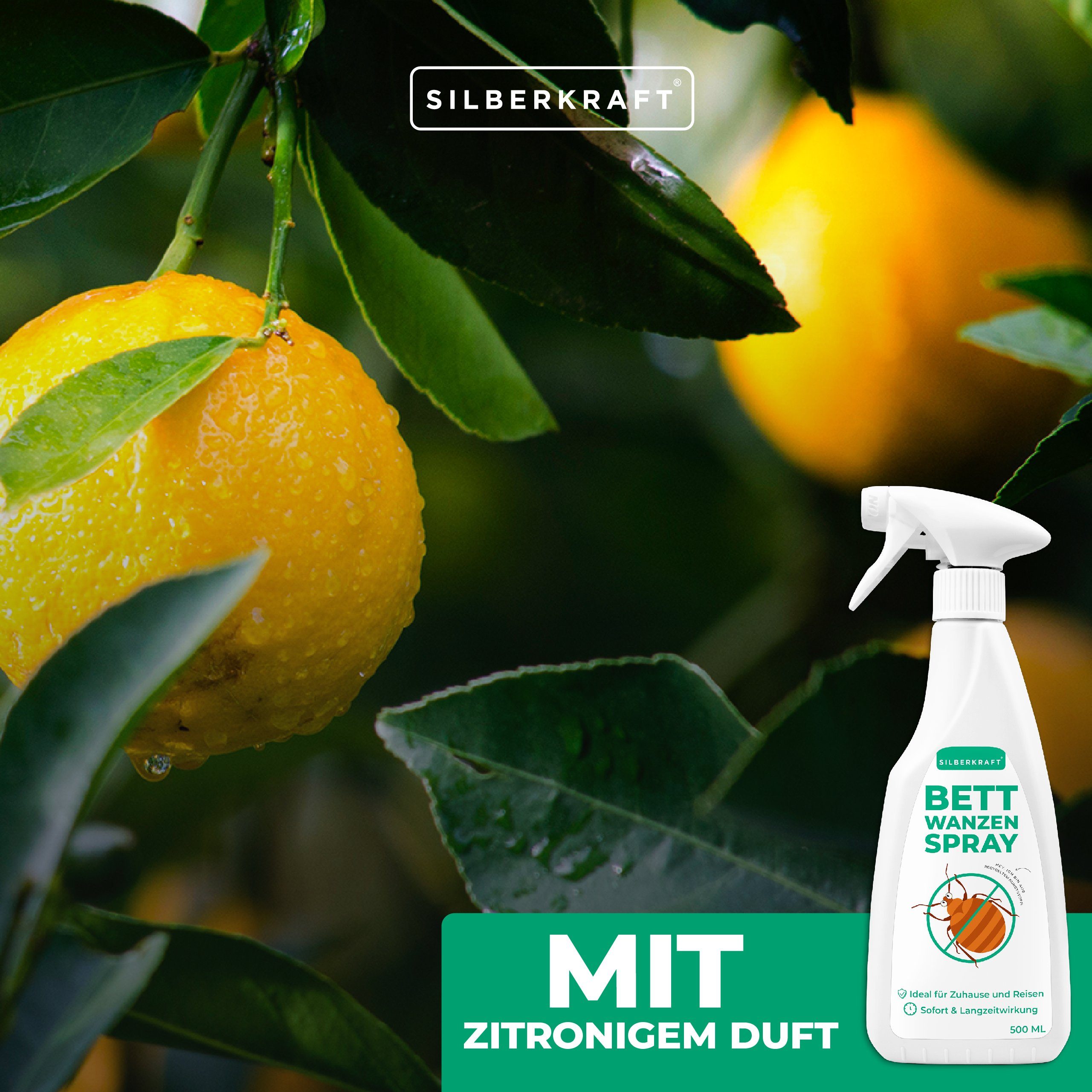 Silberkraft Insektenspray Anti Bettwanzen Spray - Bettwanzenspray 500 ml, 500 ml, 1-St.