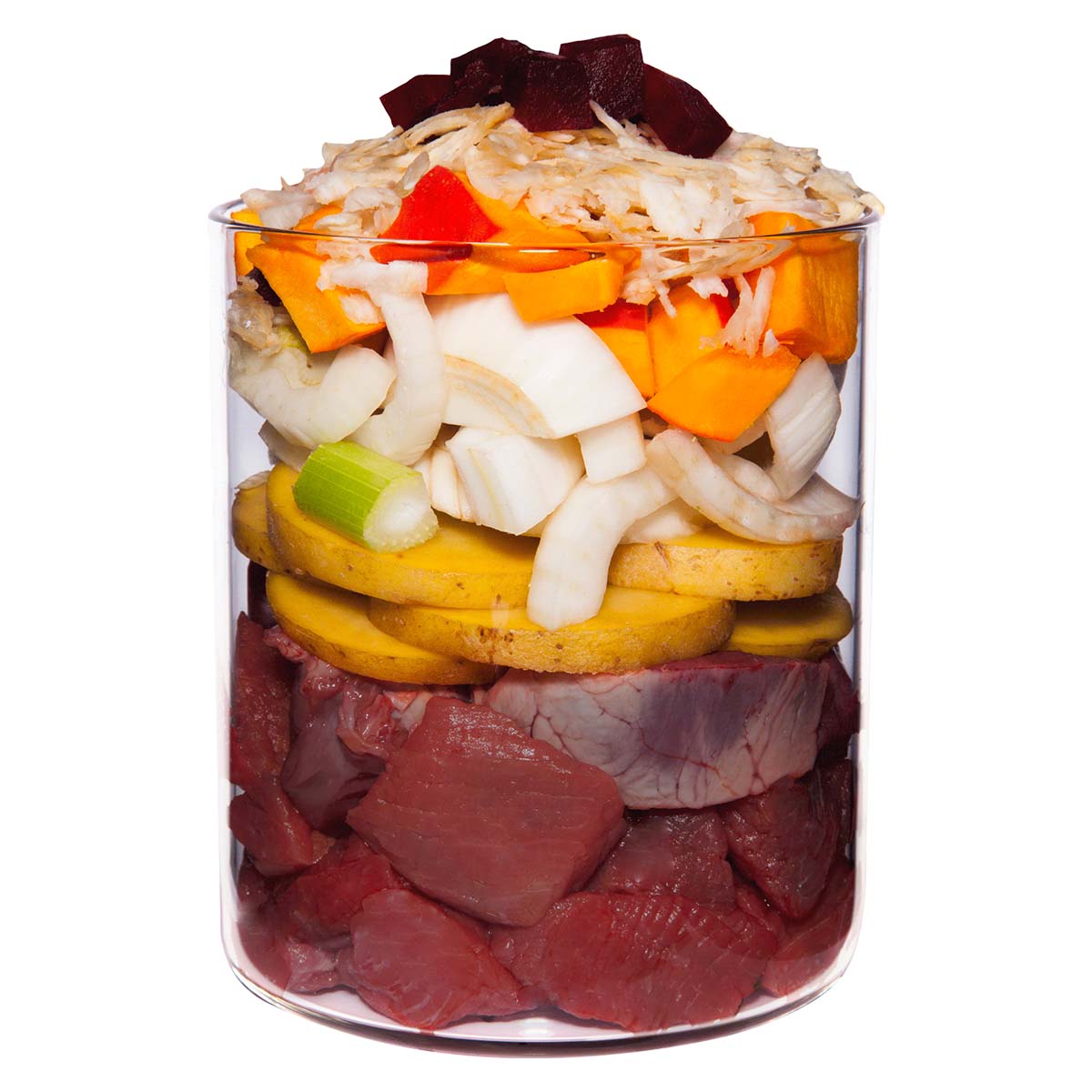 Terra Canis getreidefrei Pferd mit Steckrübe, Fenchel & Salbei