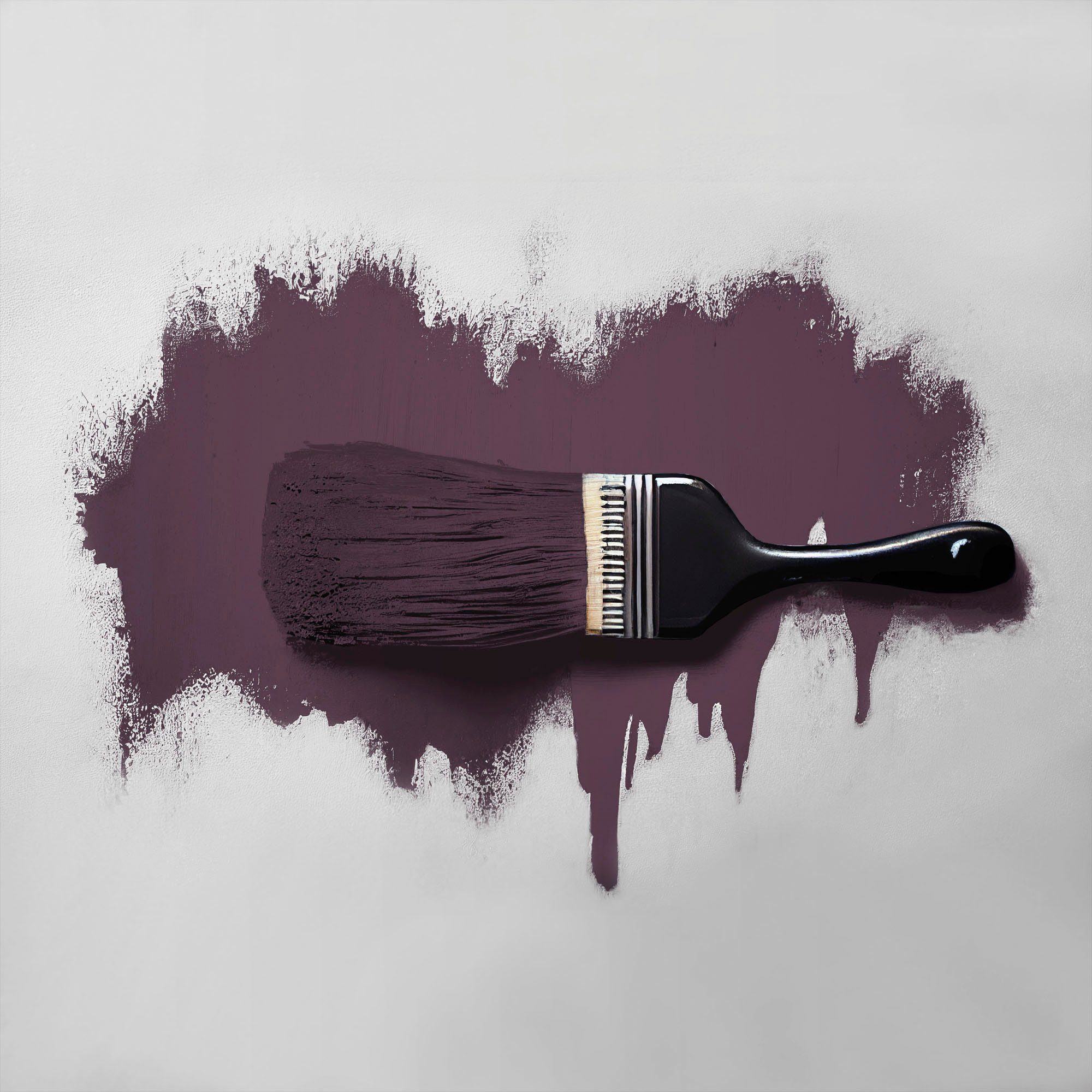 A.S. Création Wand- und Deckenfarbe Seidenmatt Innenfarbe THE COLOR KITCHEN, für Wohnzimmer Schlafzimmer Flur Küche, versch. Lilatöne