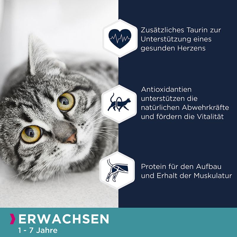 Sparpaket Eukanuba Getreidefrei Adult 24 x 85 g