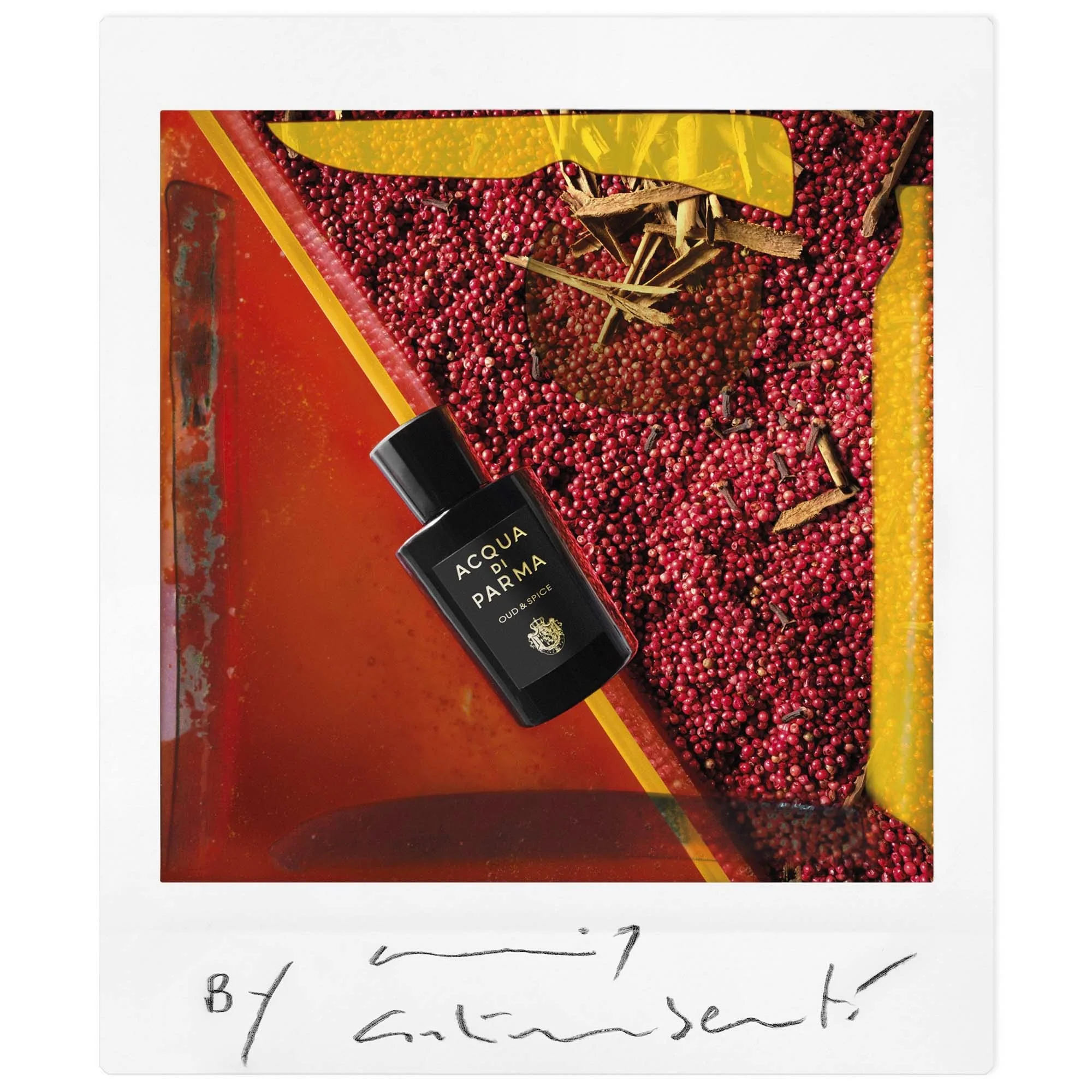 Potpisi Sun Oud & Spice - Eau de Parfum Unisex, Eau de Parfum