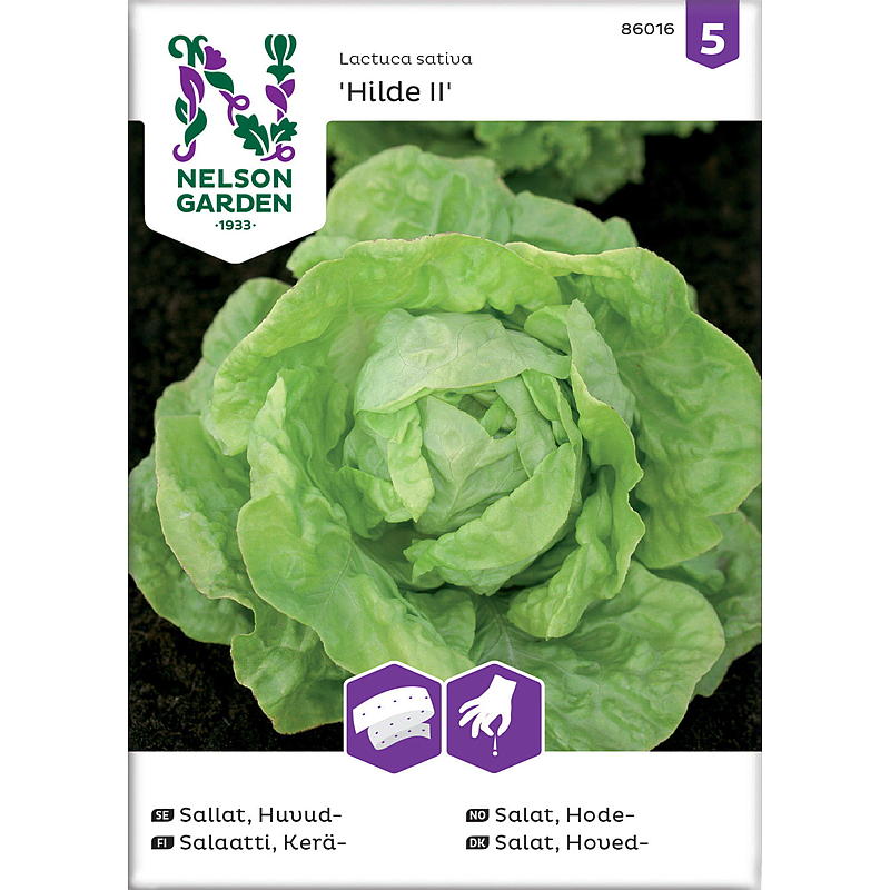 Nelson garden Frø Salat Hode-, Hilde II, Frøbånd