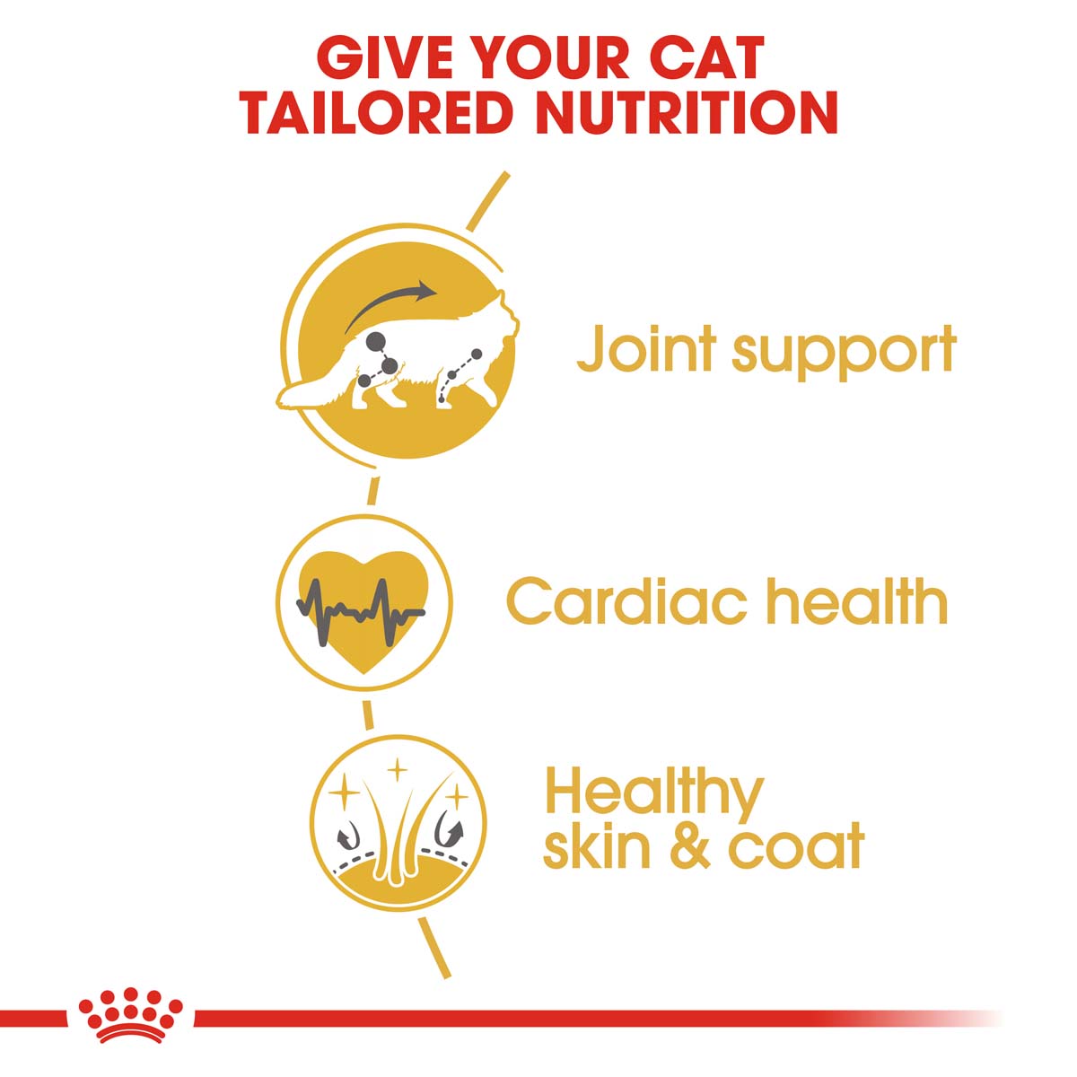ROYAL CANIN ADULT Maine Coon 10kg + Nassfutter in Soße 48x85g