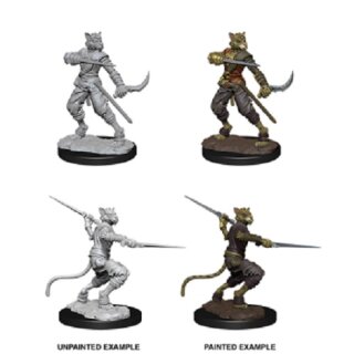 Male Tabaxi Rogue: Nolzurs Marvelous Unpainted Minis