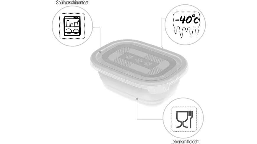 rotho Gefrierdosen Set Freeze 4-tlg. 0,5l transparent
