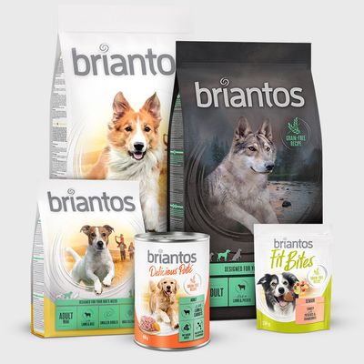 Briantos Adult Lamm & Kartoffel - GETREIDEFREI