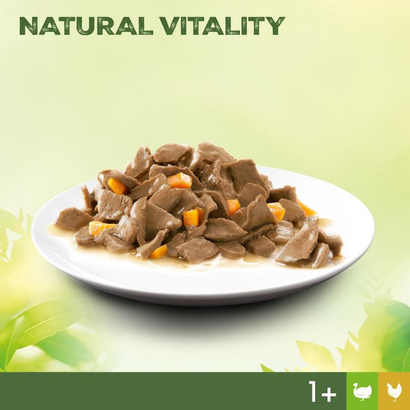 Perfect Fit Natural Vitality Adult 1+ zu TOP-Preisen | bitiba %
