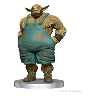 Dungeon & Dragons Icons of the Realms Set 20 The Wild Beyond the Witchlight Premium Set 1