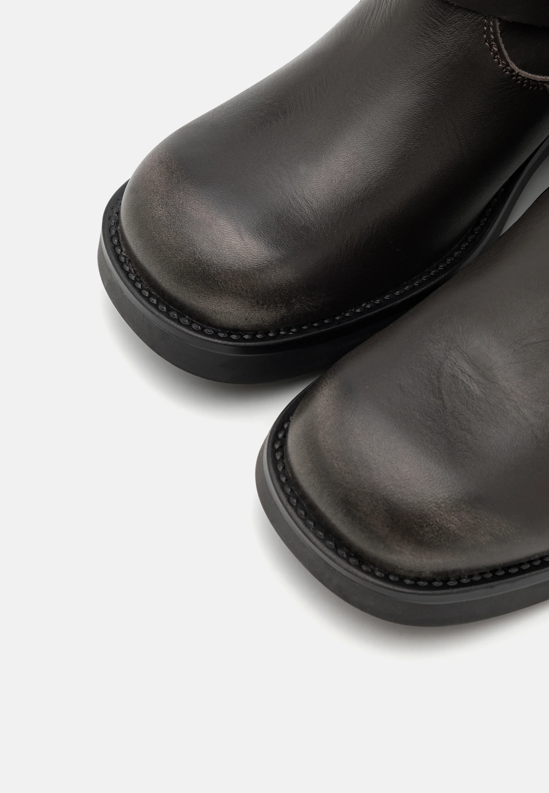 Steve Madden BLOOM - Botas tejanas/de motociclista
