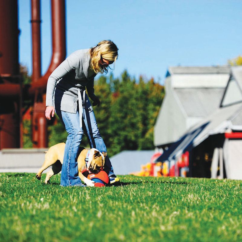 Chuckit! Kick Fetch zu TOP-Preisen % | bitiba