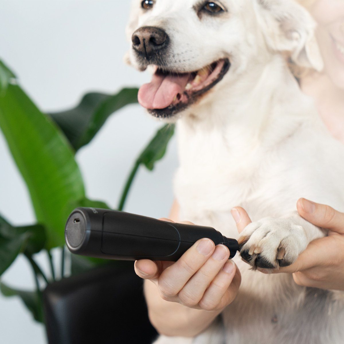 Navaris Nagelschere Elektrischer Krallenschleifer für Hunde/Katzen/Vögel, wiederaufladbar