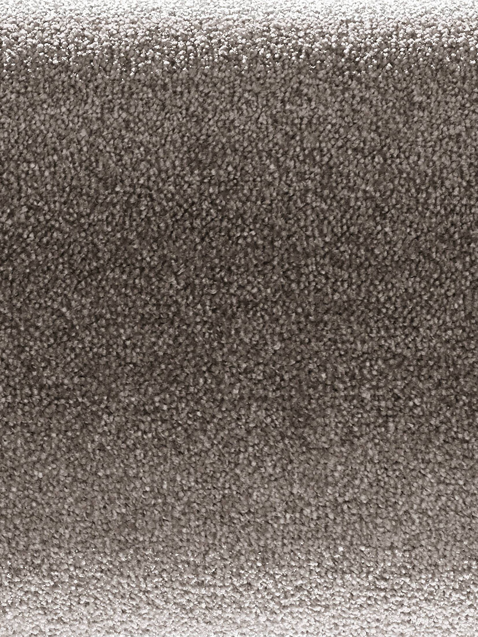 Emotion Velours-Teppichboden, Taupe 49