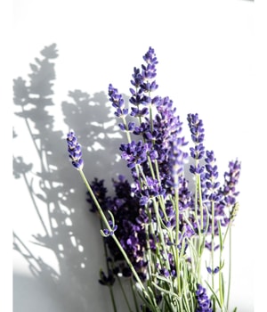 KORRES Relaxing Lavender Senses-Calming Mist Körperspray-100 ml