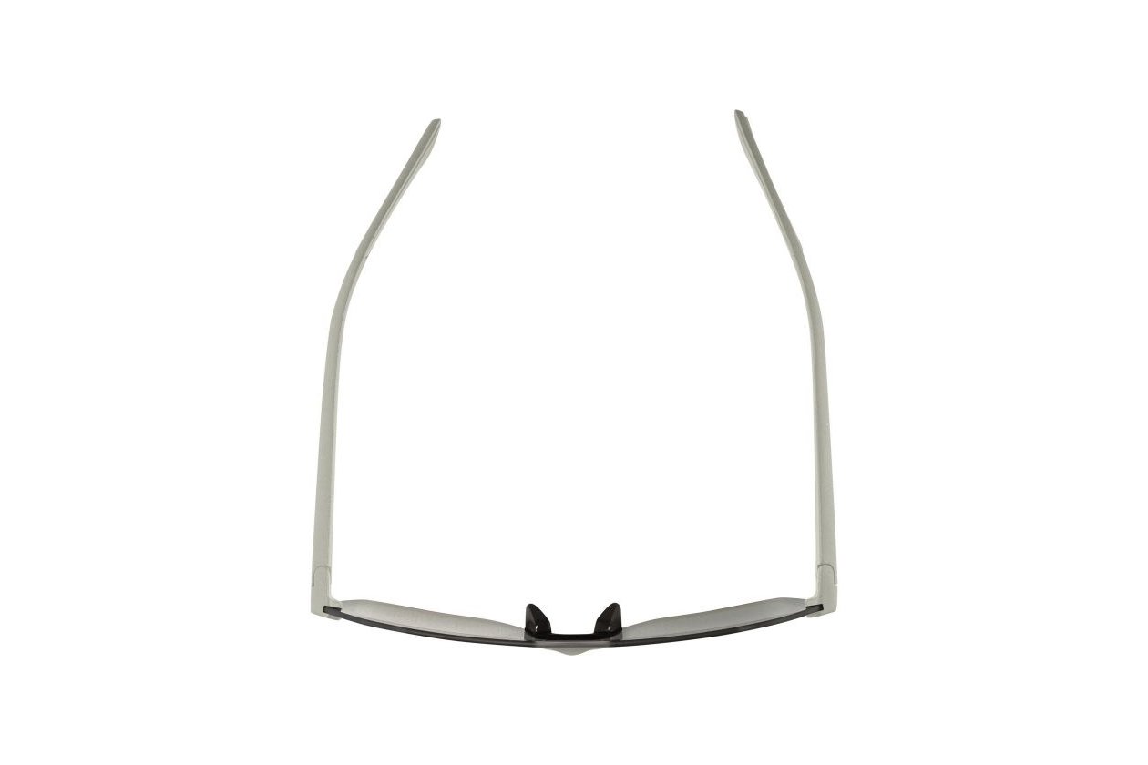 Alpina Beam I cool-grey matt / black mirror lens