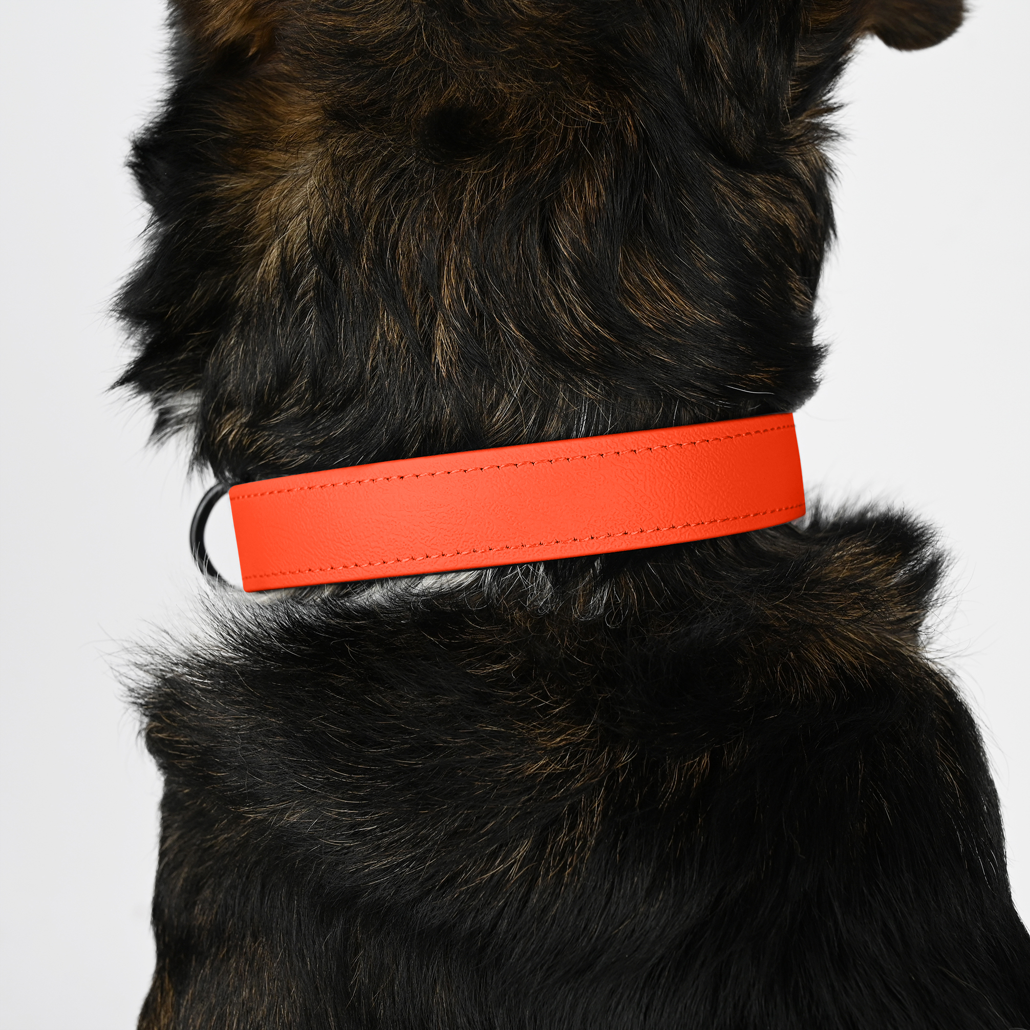 THE DOG IDEA Hundehalsbänder THE DOG IDEA Biothane Halsband Orange neon orange XXL