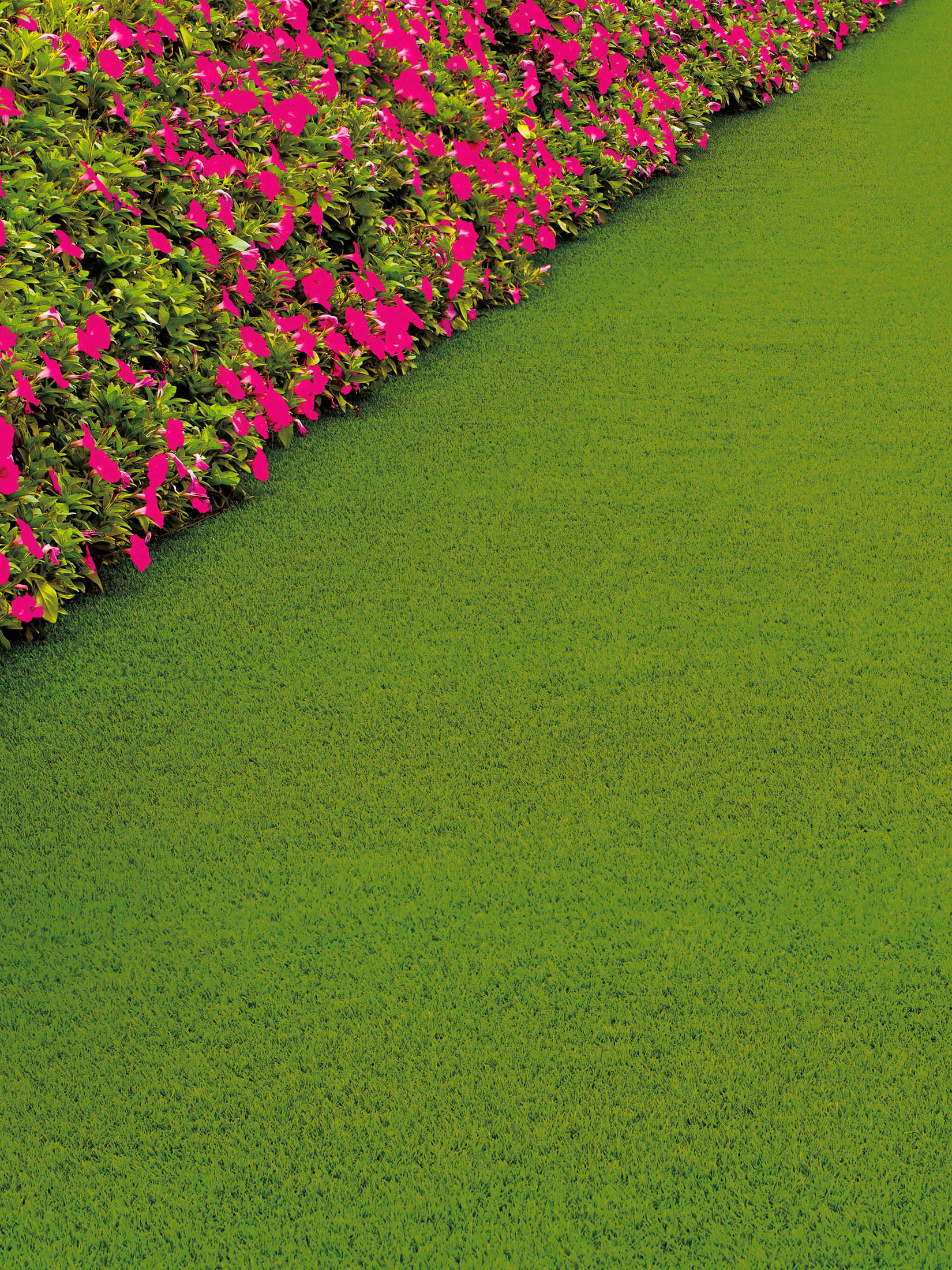 Naturale Green Rasen-Teppichboden, Light Green