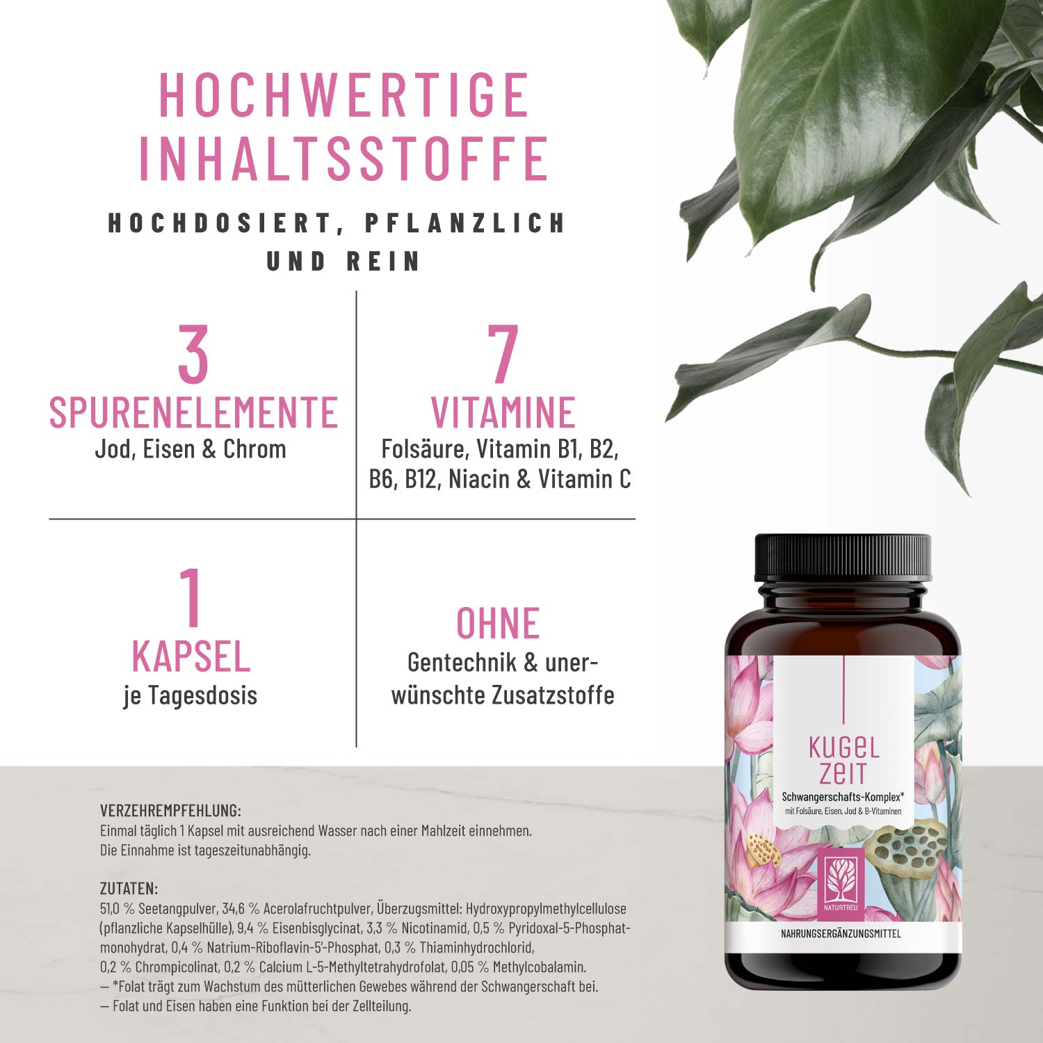 Kugelzeit - Schwangerschafts-Komplex* mit Folsäure. Jod & Eisen