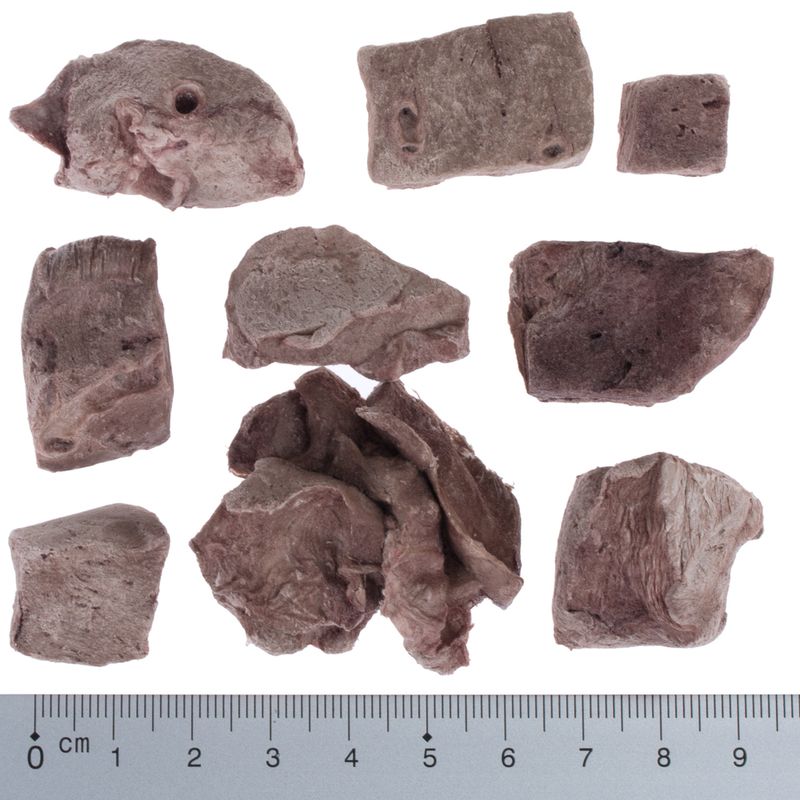 Wolf of Wilderness - RAW Snacks (gefriergetrocknet)