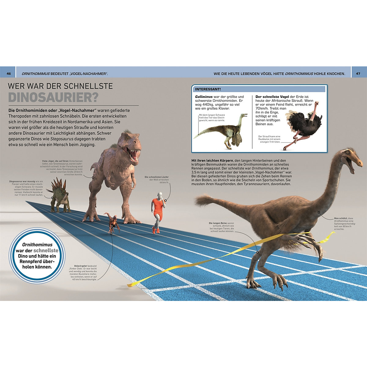 Total verrückt! Dinosaurier