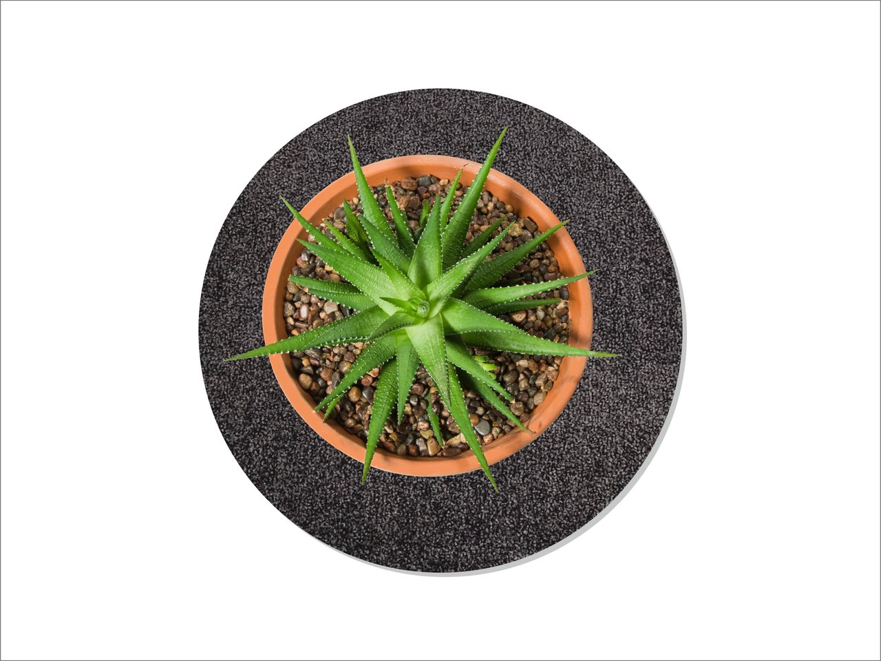 Keilbach Designprodukte Keilbach Blumentopf Unterlage, ⌀ 25,0 cm, dunkelgrau