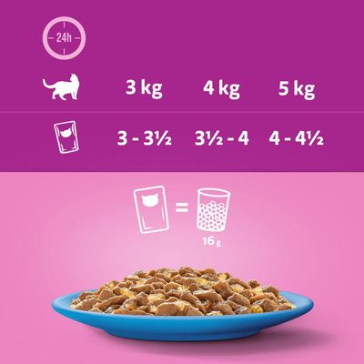 Megapack Whiskas 1+ Adult Frischebeutel 48 x 85 g