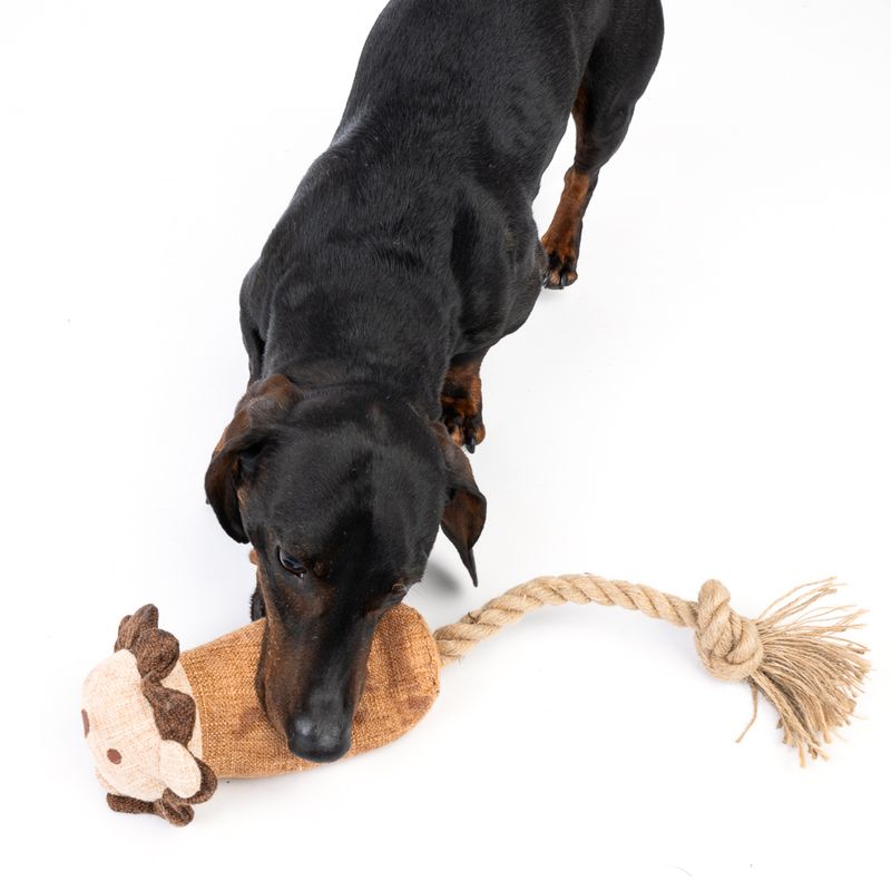 Modern Living Hundespielzeug Kruger Lion zu TOP-Preisen | bitiba