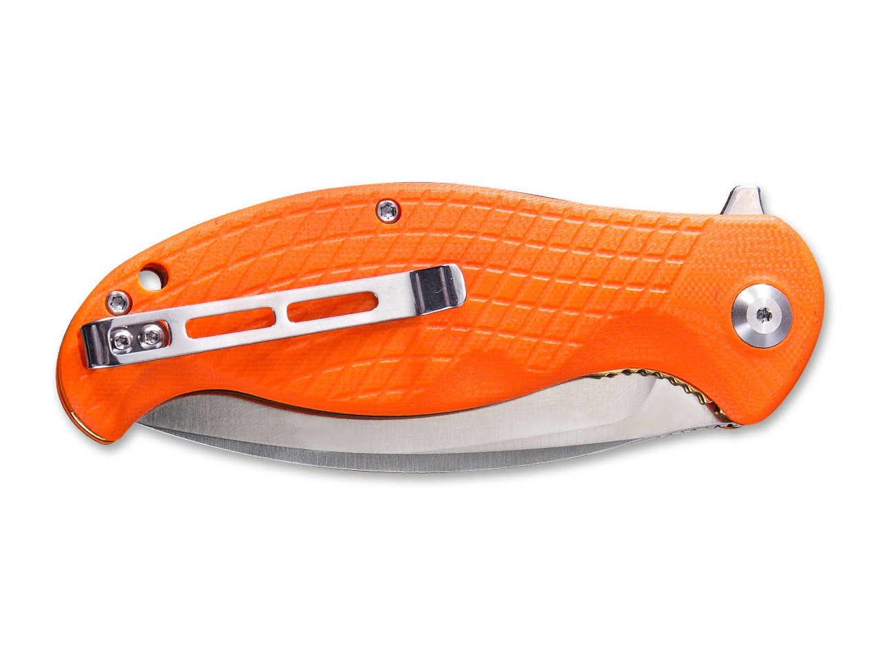 Naja Orange
