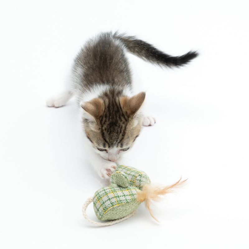 Modern Living Glasgow Katzenspielzeug-Set Mäuse mit Katzenminze