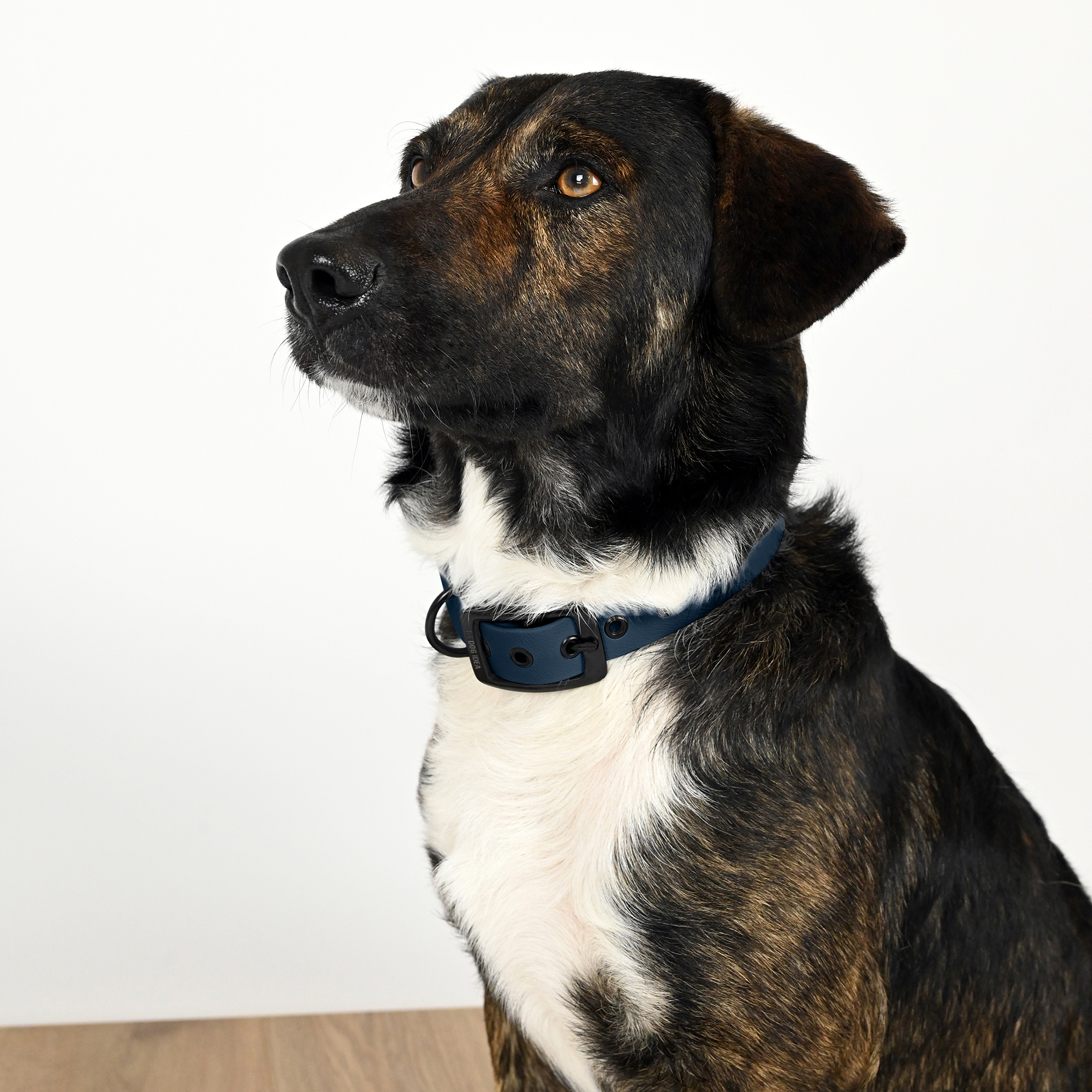 THE DOG IDEA Hundehalsbänder THE DOG IDEA Biothane Halsband Navy Schwarz XXL
